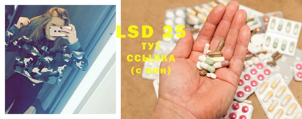 PSILOCYBIN Балахна