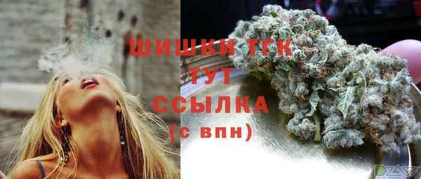 PSILOCYBIN Балахна