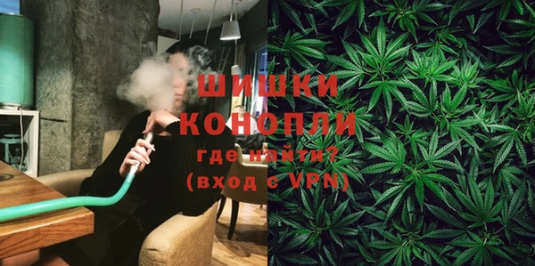 PSILOCYBIN Балахна